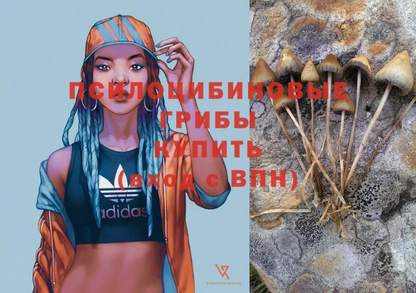 эйфоретик Магас