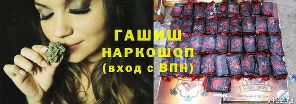 эйфоретик Магас